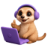 peekaping.pages.dev favicon